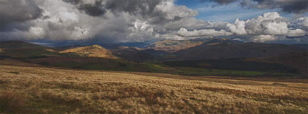 It's almost Christmas